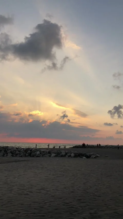 Beautiful clouds with pine trees and a beach peach colored sunset Stock Footage 201800582