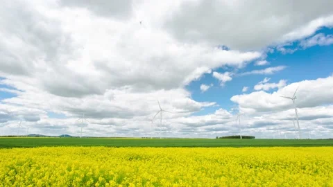 Beautiful clouds rolling over windmills and flower fields in Zlotoryja, Vídeos de archivo 135302874
