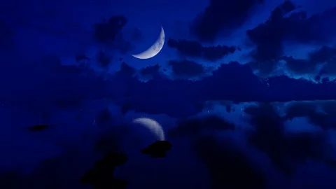 Beautiful clouds in the sky Stock Footage 124801973