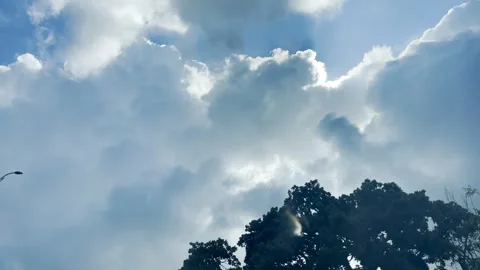 Beautiful clouds in sky Stock Footage 316904954