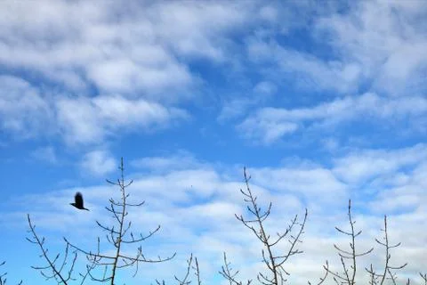 Beautiful clouds in the sky Stock Photos