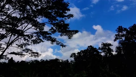 Beautiful clouds time lapse blue sky with tree bali indonesia background Stock Footage 221870965