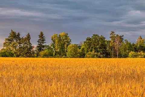 Beautiful cloudscape above a field during the golden. Stock Photos