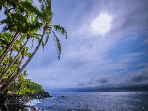 Beautiful cloudscape above the ocean with Palm Trees - 4K 動画素材 72457551