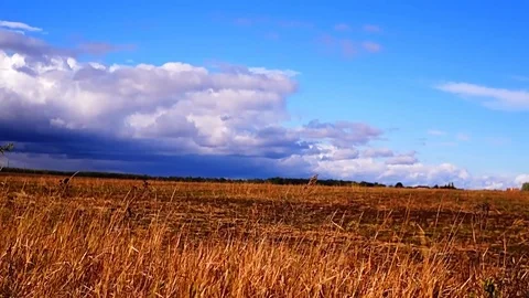 Beautiful cloudscape with large, building clouds Stock Footage 96055733