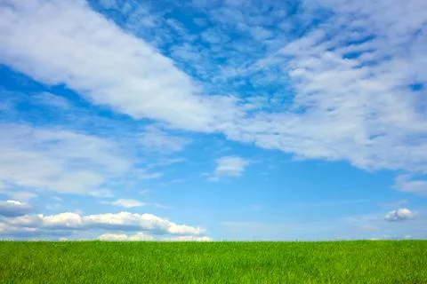 Beautiful cloudscape over wheat field Stock Photos