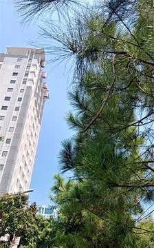 Beautiful cloudscape Stock Photos