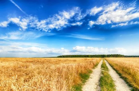 Beautiful cloudy sky over summer fields Stock-Fotos