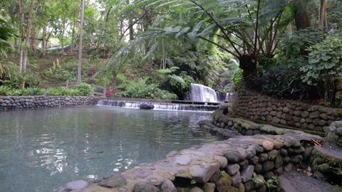 Beautiful Cold Spring Water Inside the Forest 動画素材 236142334