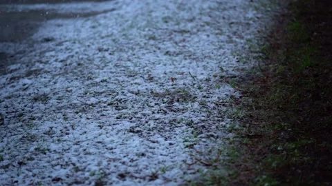 Beautiful cold winter forest in the snow near the river. the first snow falls on Stock Footage 151462931