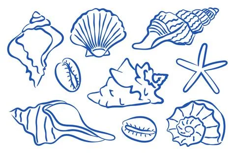 A Beautiful Collection of HandDrawn Illustrations Featuring Seashells and S.. Stock Illustration