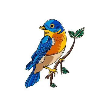 Beautiful colored bird Stock Illustration