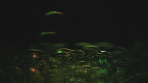 Beautiful colored bubbles in a liquid on a black background. Close-up. Slow 動画素材 97847749