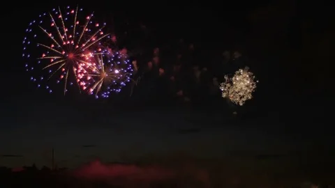 Beautiful colorful firework. Celebration. Stock-Footage 77178030