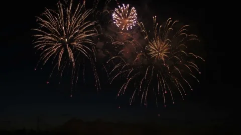 Beautiful colorful firework. Celebration. Stock Footage 77178412