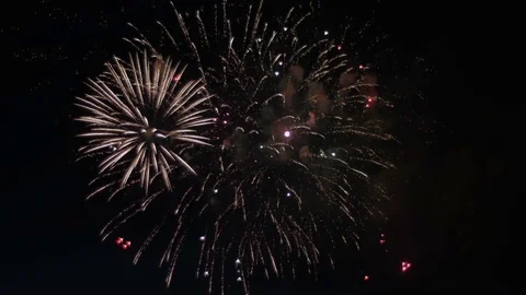 Beautiful colorful firework. Celebration. Video stock 77199774