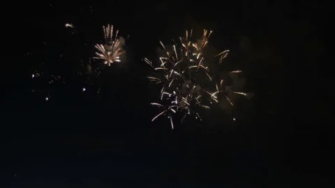 Beautiful colorful firework. Celebration. Stock-Footage 77199989