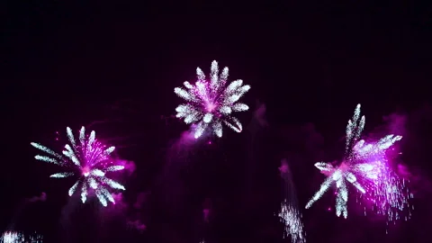 Beautiful Colorful Firework Display at Night for Celebration in Festival. Stock-Footage 290299573