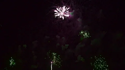 Beautiful Colorful Firework Display at Night for Celebration in Festival. Real Stock Footage 321116371