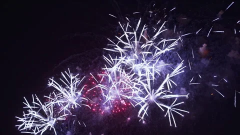 Beautiful Colorful Firework Display at Night for Celebration in Festival. 動画素材 340878392