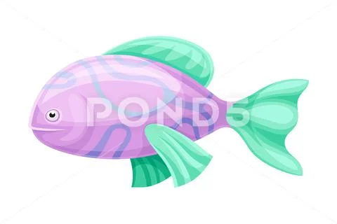 Beautiful colorful tropical exotic pink fish vector illustration ~ Clip Art  #166211027