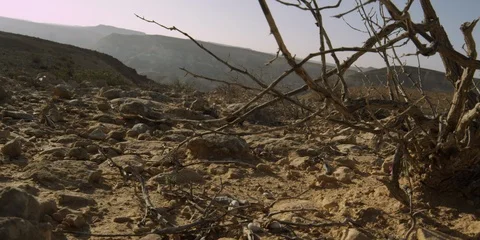 The Beautiful Colors of the Desert 스톡 동영상 112930112