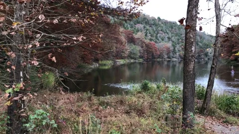 Beautiful colors of fall reflected in the waters of Mountain Fork River Stock Footage 151933750