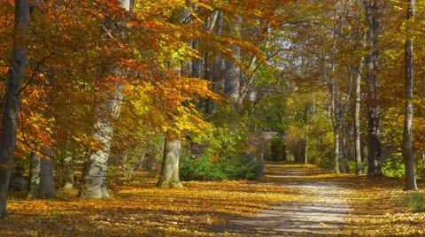 Beautiful colourful path in forest park of Eggenberg Palace, Graz, Austria Stock Footage 56842616