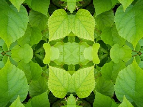 Beautiful colourful repeat pattern of leaves foliage and natural textures 스톡 사진