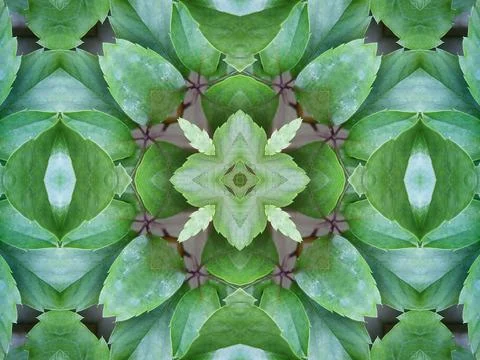 Beautiful colourful repeat pattern of leaves foliage and natural textures for 스톡 사진