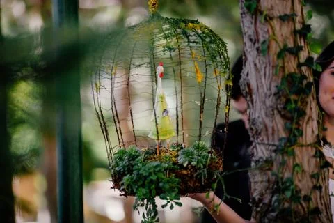 Beautiful composition in a cage Stock Photos