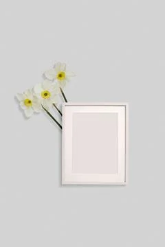 Beautiful composition of daffodils, spring flowers. Blank frame for text, yel Stock Photos