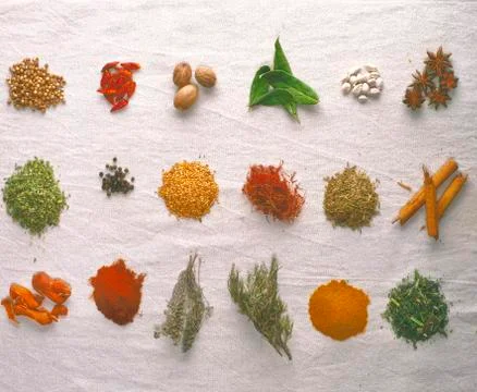 Beautiful composition with different aromatic spices on white background Foto stock