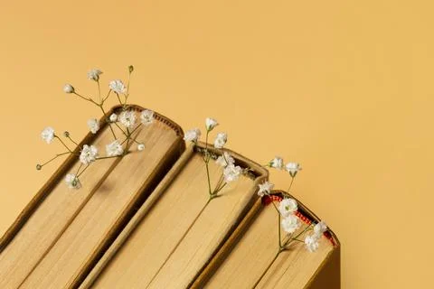Beautiful composition different books. High quality beautiful photo concept Stock Photos
