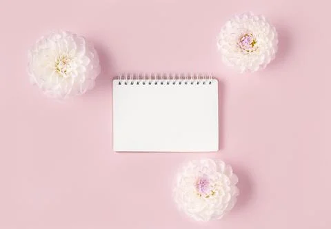 Beautiful composition of opened blank spiral notepad framed with white flowers Foto stock