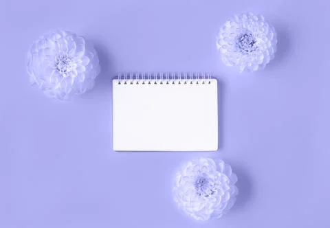 Beautiful composition of opened blank spiral notepad framed with flowers in flat Stock Photos