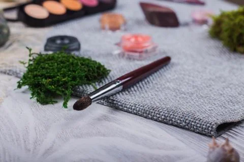 Beautiful composition: professional make-up brushes and tools, decorative ele Stock Photos