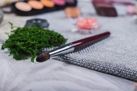 Beautiful composition: professional make-up brushes, equipment and decorative Stock Photos