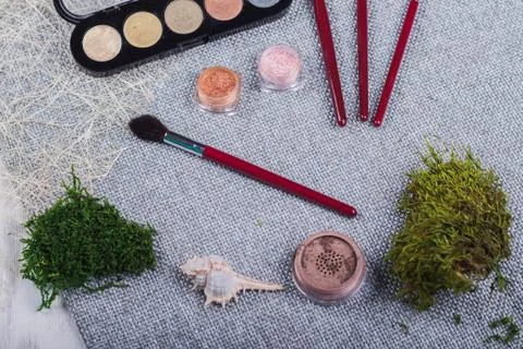 Beautiful composition: professional make-up brushes, equipment and decorative Stock Photos
