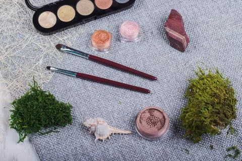 Beautiful composition: professional make-up brushes, equipment and decorative Stock Photos