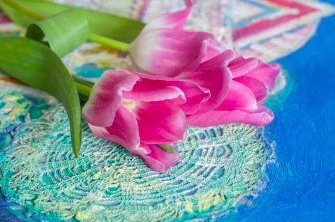 Beautiful composition with rose tulips on patterned background. Stock Photos