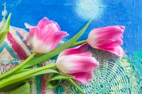 Beautiful composition with rose tulips on patterned background. Stock Photos