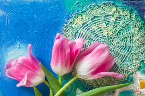 Beautiful composition with rose tulips on patterned background. Stock Photos