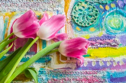 Beautiful composition with rose tulips on patterned background. Stock Photos