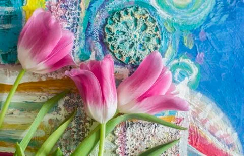 Beautiful composition with rose tulips on patterned background. Stock Photos