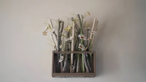 Beautiful composition of stems, grass and daisies in a transparent rectangular 库存影片 116446054