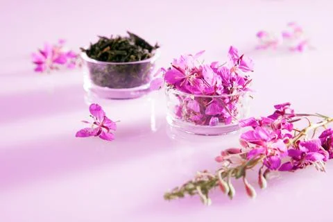 Beautiful composition of willow-herb tea and fresh flowers Stock Photos