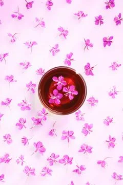 Beautiful composition of willow-herb tea and fresh flowers Stock Photos