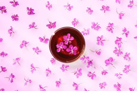 Beautiful composition of willow-herb tea and fresh flowers Stock Photos