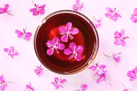 Beautiful composition of willow-herb tea and fresh flowers Stock Photos
